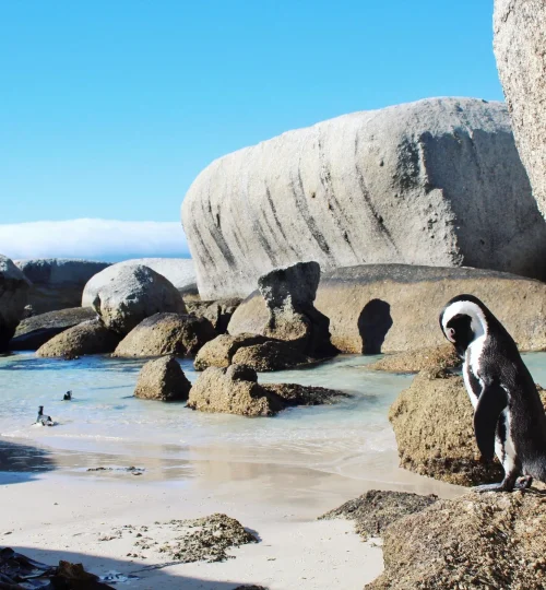 01abe unsplash image rep3ti8enhu