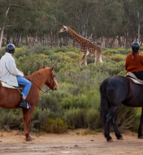 aquila nature reserve 014