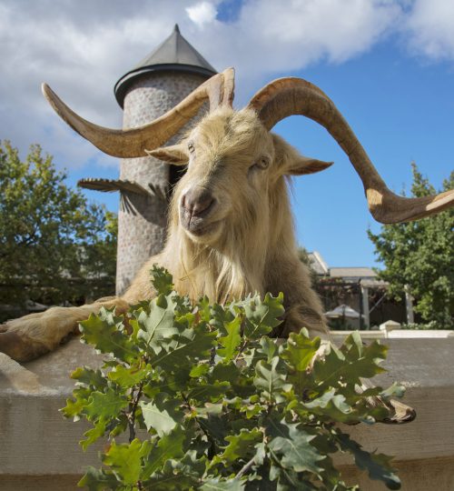 fairview day 1 high res 255 scaled