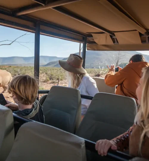 family friendly big 5 safari rhino sighting aquila private game reserve
