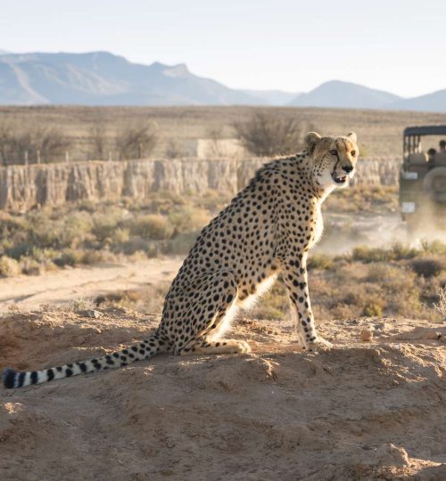 gettyimages 450759613 59104efd5f9b5864708c4a48