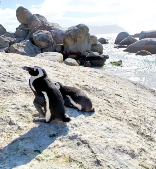 img 2226 1024x768.jpg