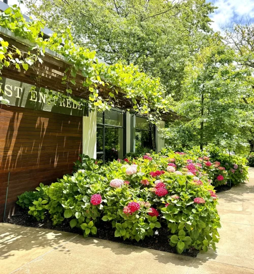 rust en vrede wine estate stellenbosch south africa tortoisepathcom 9 jpeg